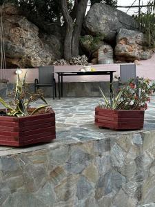 Elis studio luxury apartment