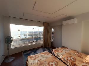 شقة فى ميامي