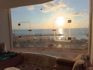 شقة فى ميامي