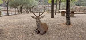 Casa Rural Monfragüe