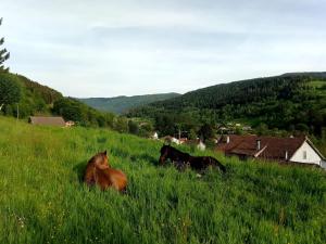 Gîte au pied du Mont