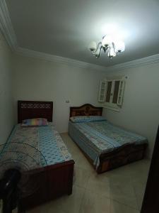 شقة فى قلب ميامي