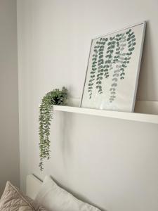 Oakwood park apartment