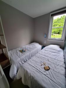 Campings Camping L-AMBOIS : photos des chambres