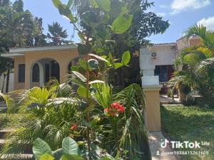 Kamsons villa accommodation