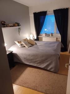 Viihtyisä kaksio torin laidalla 1-4 hengelle