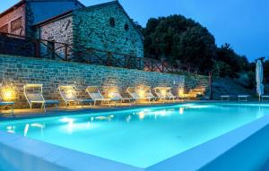 Pet Friendly Apartment