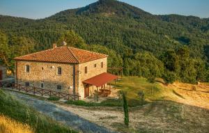 Pet Friendly Apartment