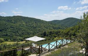 Pet Friendly Apartment