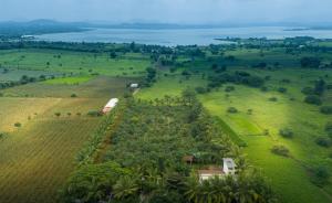 SaffronStays Mango Vino pool villa in Nashik