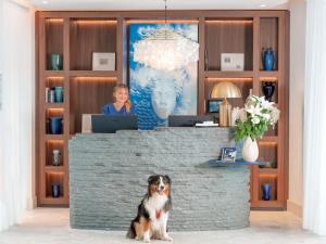Hotels Bleu Hotel & Spa : photos des chambres