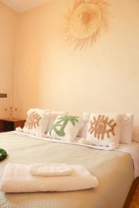 cactus surf experience