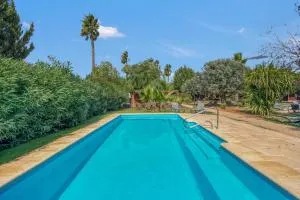 Entre Viejos Olivos - Benicolet