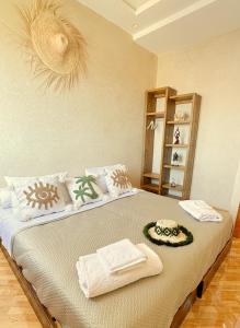 cactus surf experience