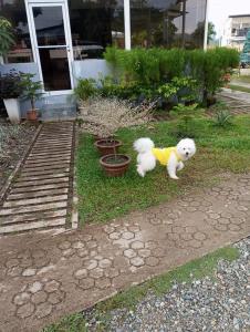 Angels Bed and Breakfast Sipalay