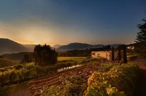 Weingut Stuck - Missiano