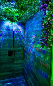Love hotels Love room : photos des chambres