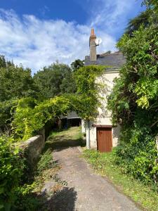 Maisons de vacances Clos des Mesanges : photos des chambres