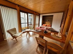 Hermoso monoambiente de diseño en el centro de SMA 12V4