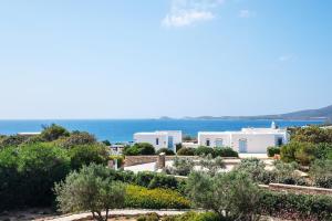 Antiparos Olive House - Ubytování bez kategorie ve městě Andiparos