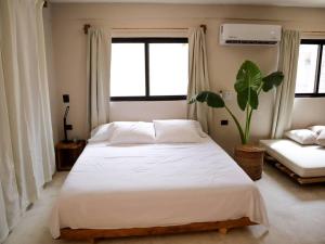 Cozy Tropical Suite for 1-4 Pp in Isla Mujeres