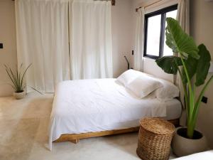 Cozy Tropical Suite for 1-4 Pp in Isla Mujeres