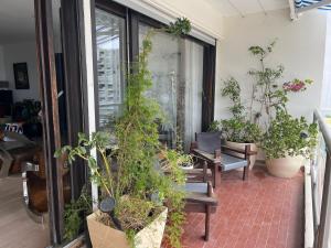 T3 vue port 200m de la plage 2 chambres avec garage