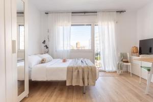 Estudio Rosimar Light