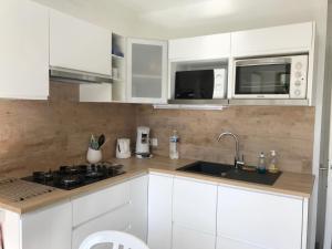 Belles prestations, proche plages, piscine 232L PY