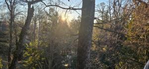 Las Amapolas Apart Monoambiente