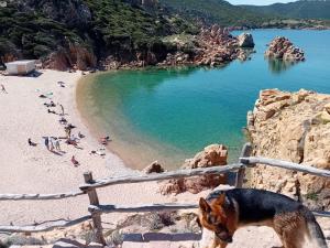 Villetta X 1 3 Susy img9