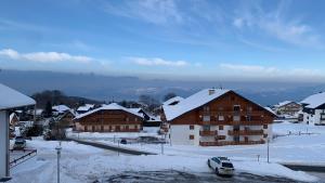 Appartements Le Flocon de Thollon : photos des chambres