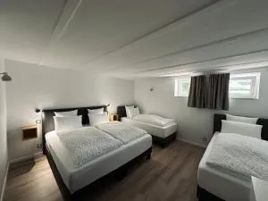 Le Parc 96 - Gîte aux Portes de Colmar - 万泽内姆