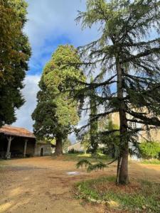Maisons de vacances Gite du Grand Bourneau : photos des chambres