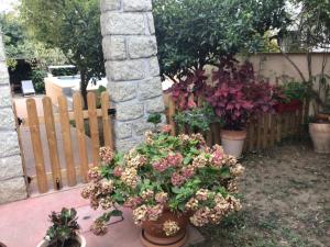 Appartements Entre Mer et Montagnes : photos des chambres