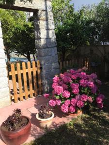 Appartements Entre Mer et Montagnes : photos des chambres