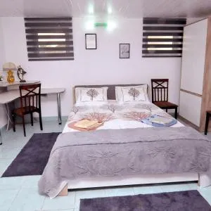 Apart centr - Slobozia-Oancea