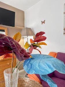 Appartements Evasion au Coeur de Bergerac : photos des chambres