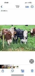 Eastfield Cottage - Sigglesthorne