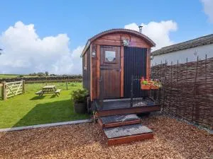 The Black Sheep - Whithorn