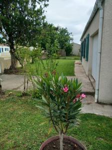 Maisons de vacances fleur de sel d Oleron 3 chambres : photos des chambres
