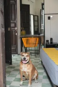 Casa Pichón Retiro Tropical - Mérida