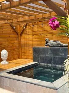 Villa Cascade Céline - Désert