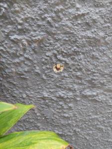 Casa de Praia com Piscina