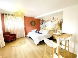 Chaleureux Appartement proche gare - Forcé