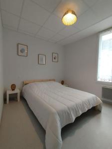 Appartement centre Descartes