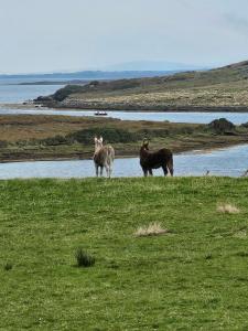 Achill Island Holiday home by the Sea - Idyllic views, Sleeps 6, Full kitchen, Fireplace and Wifi throughout
