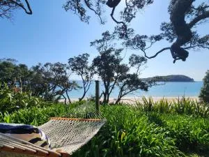 Hahei Beachfront Bliss - 哈海