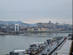 Danube Wonder View 2
