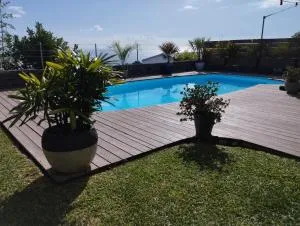 L'arbre du voyageur - Le Portail